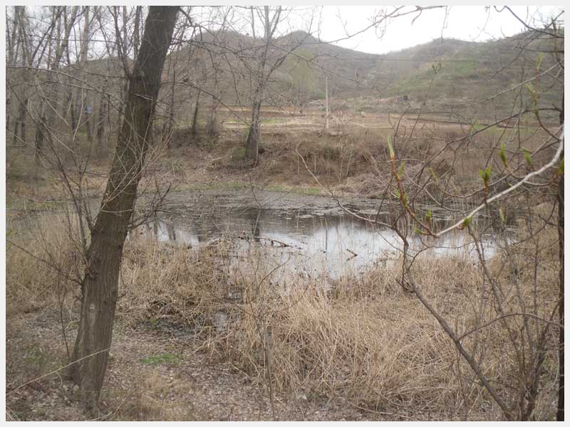 13̖(h��o) �����н����(zh��n)�μҴ巽��